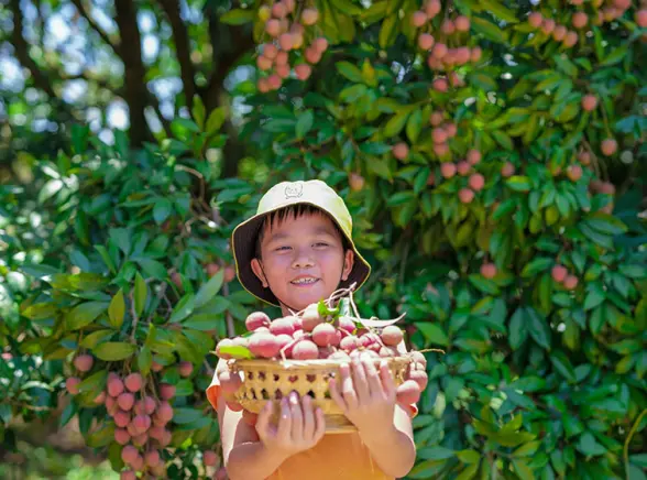 广州荔枝，甜了两千年！