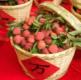 广州荔枝，甜了两千年！