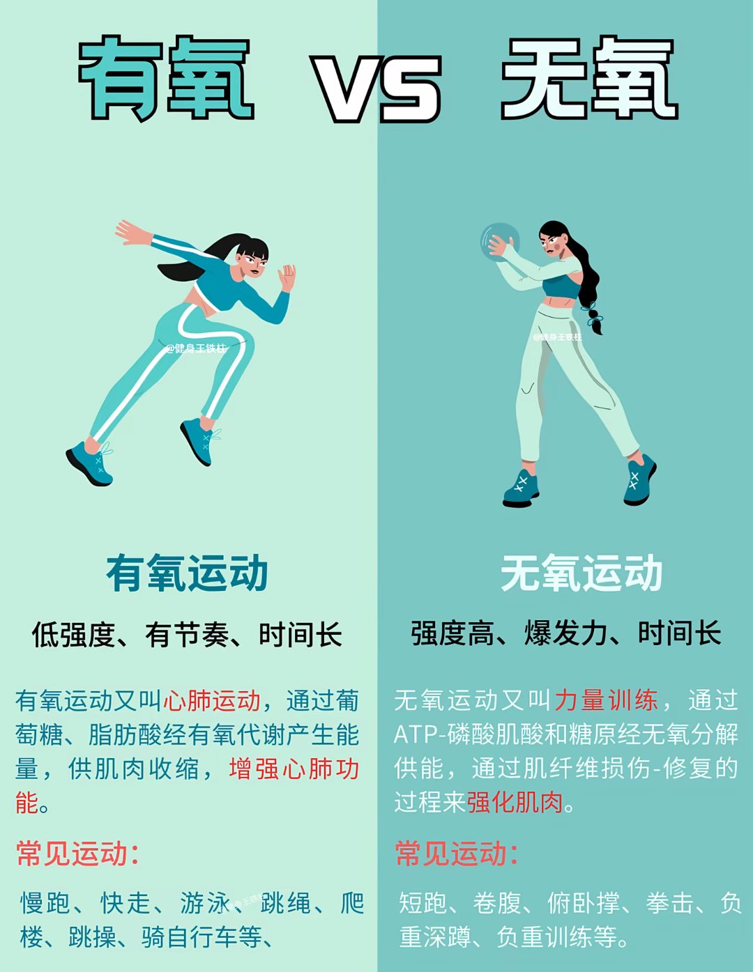 有氧运动 vs 无氧运动：揭秘身体的双引擎
