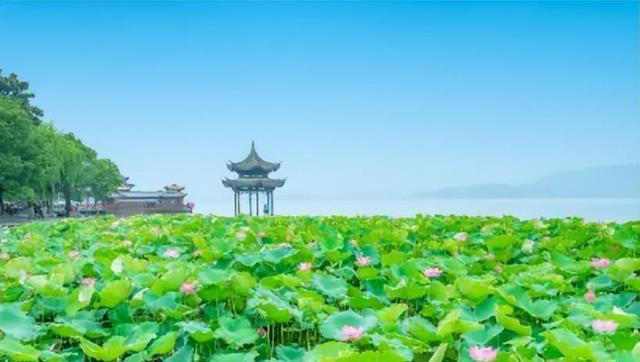 “排湿第一米”被发现，根本不是薏米！熟吃养胃，生吃肾好