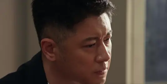 《以法之名》大结局落网顺序：孙飞第二，陈胜龙第四，兰景茗第五