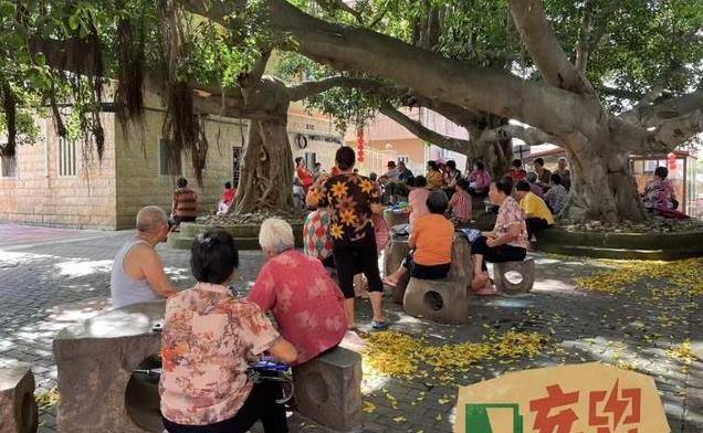 夏天热得冒汗却坚持八段锦，3个意想不到好处，真香！