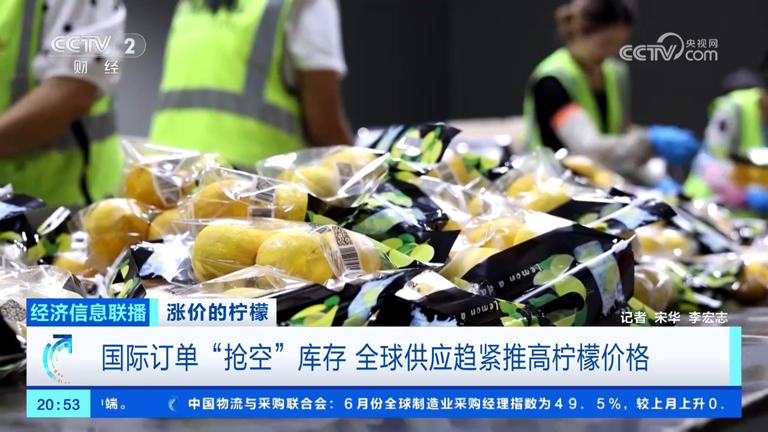 国际订单“抢空”库存 全球供应趋紧推高柠檬价格