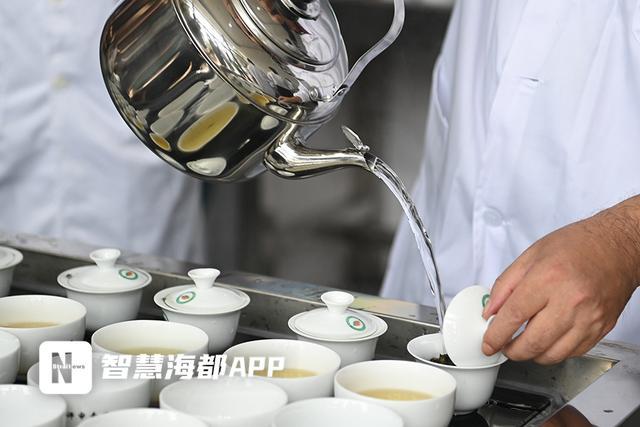 2025年春季“泉州茶”茶王赛启幕！