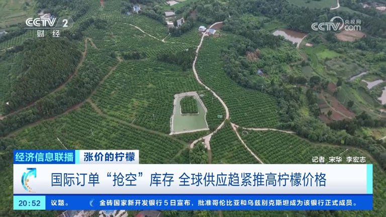 国际订单“抢空”库存 全球供应趋紧推高柠檬价格