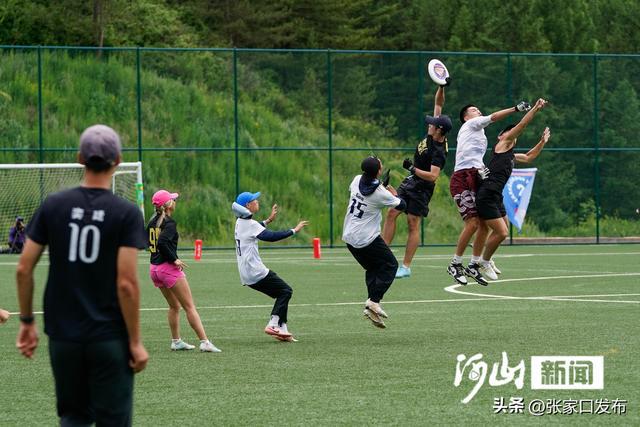 第三届张家口飞盘公开赛“飞”出夏日激情