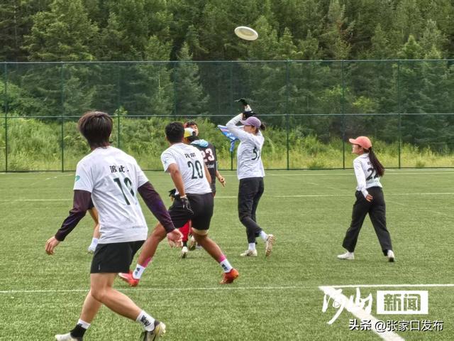 第三届张家口飞盘公开赛“飞”出夏日激情