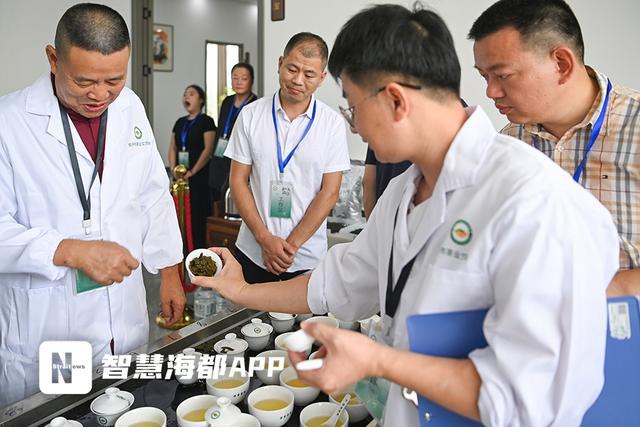 2025年春季“泉州茶”茶王赛启幕！
