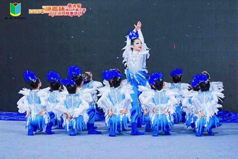 2025年海口市第六届“椰青杯”青少年舞蹈大赛圆满举行