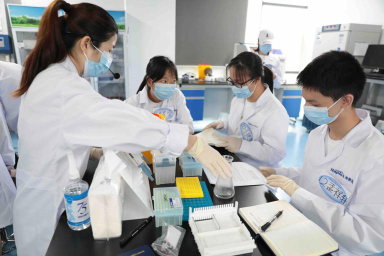12年上万个岗位！深圳福田这所学校把社会搬进课堂