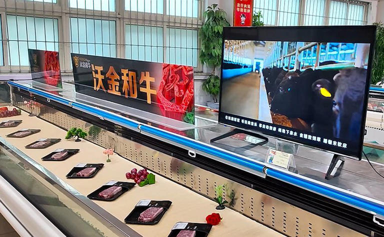 打造肉牛高端品牌 引领产业奔向“千亿级”