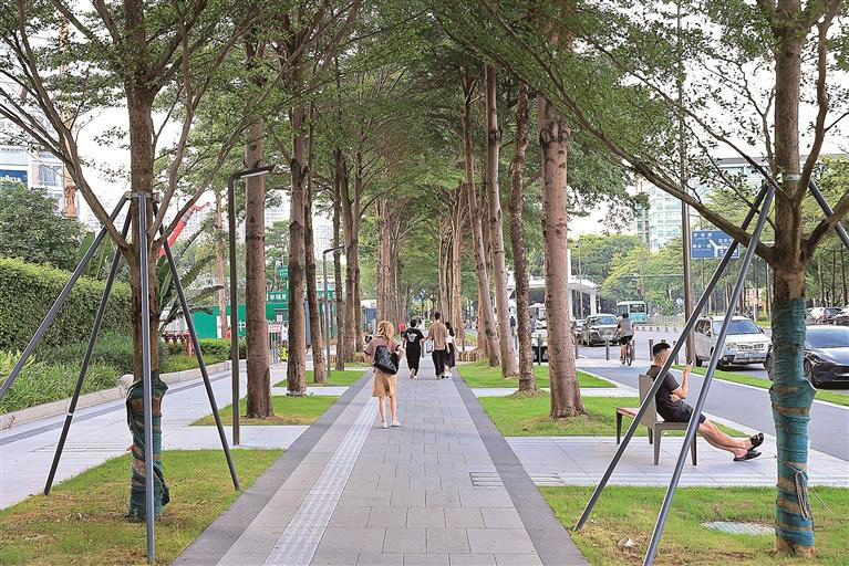 打造高颜值公共空间宝安中心区道路改造项目获国际人居绿奖金奖