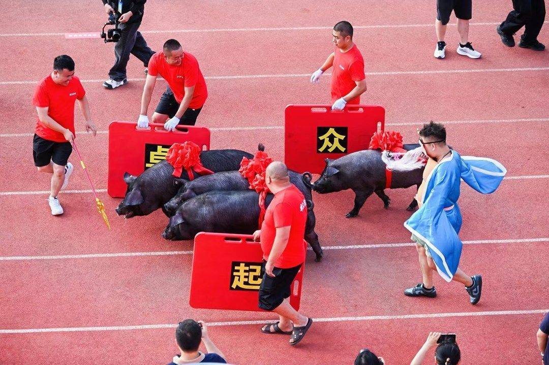 土猪、土鸡赢回家！跟着赛事去旅行 来看乡土气十足的“棉超”