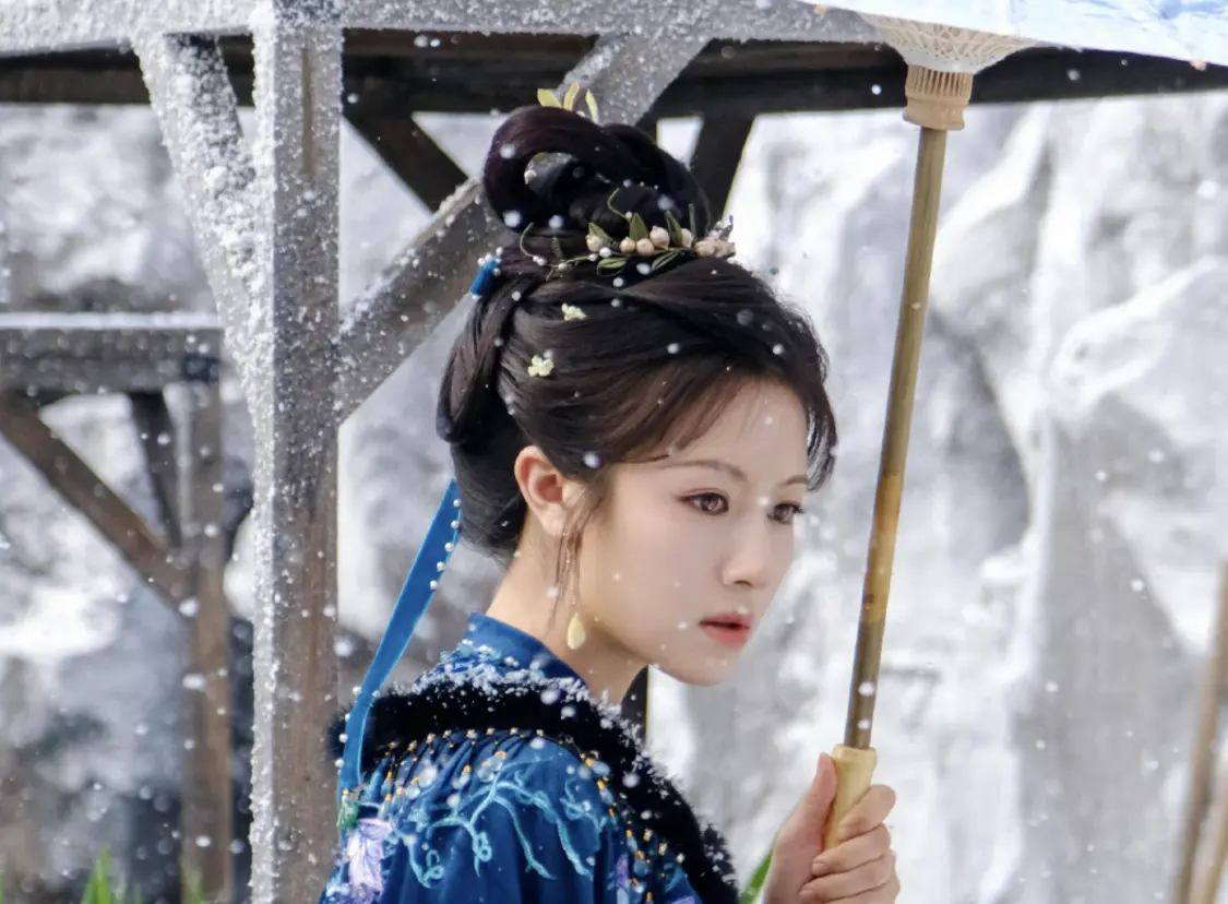 《朝雪录》12集观感