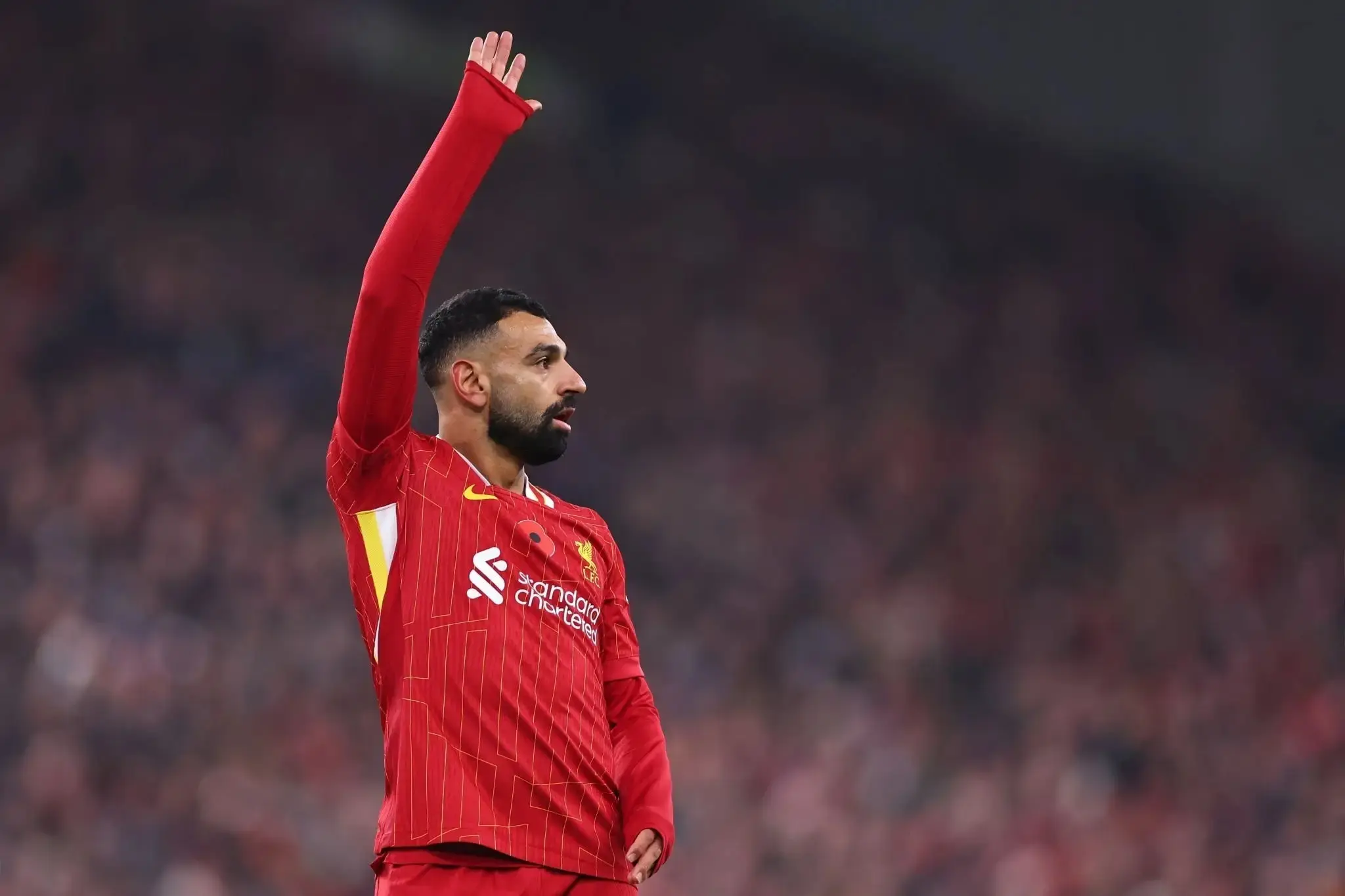 金球奖还有反转？最新赔率榜更新，登贝莱优势缩小，帕尔默第四