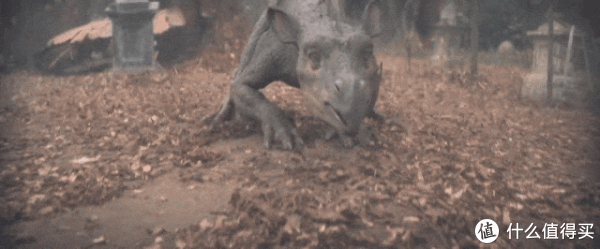 Netflix怒砸11亿，这剧拍得太猛了