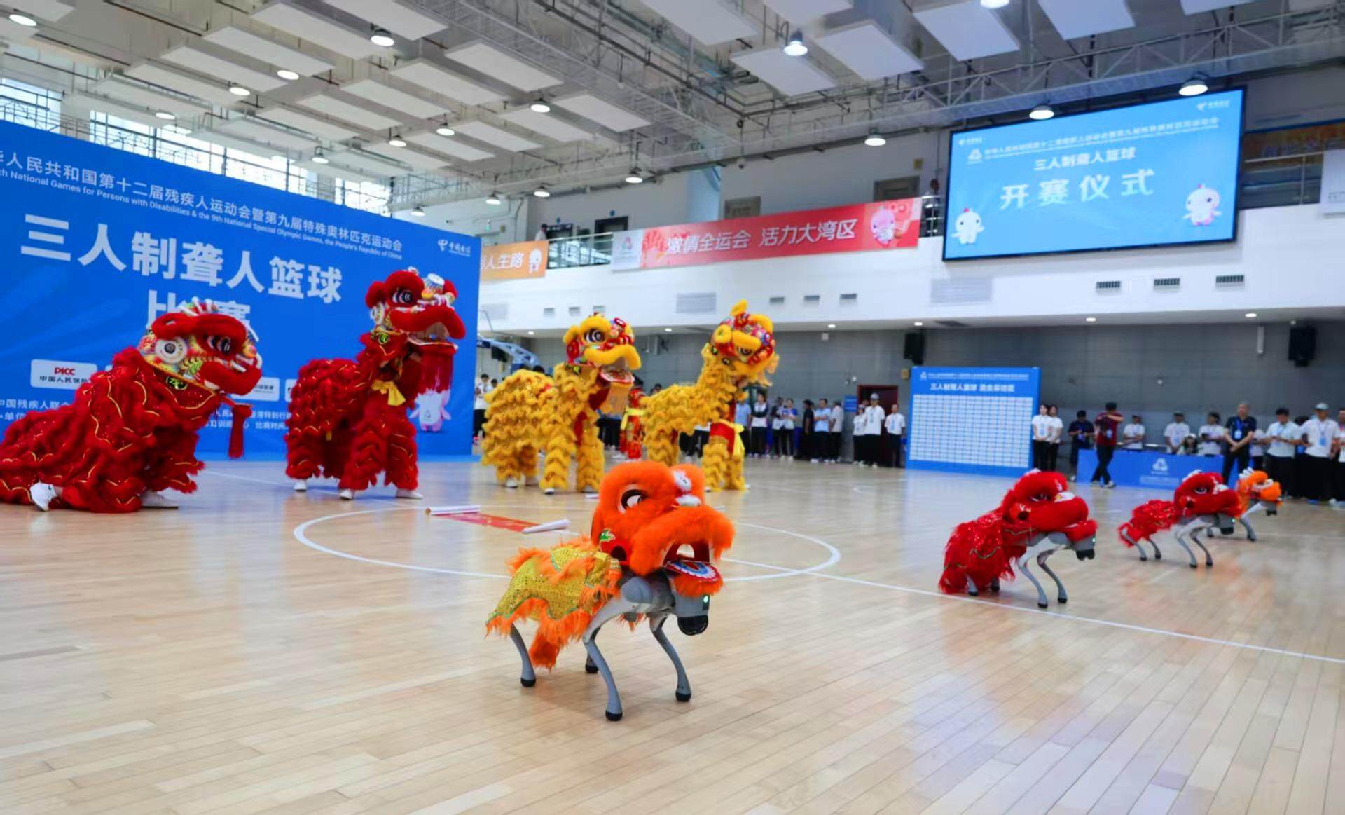 在无声的世界里，这群人用篮球赢得喝彩！