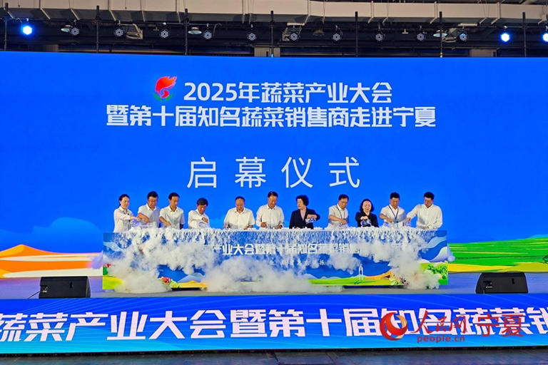 2025年蔬菜产业大会在宁夏银川举办 签约金额达26.1亿元