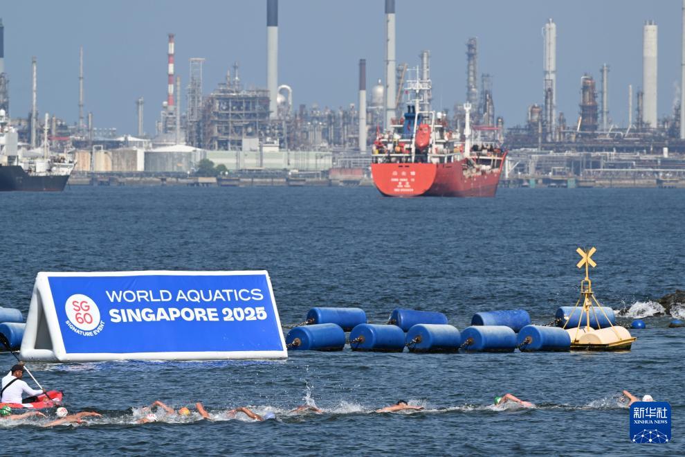 公开水域——游泳世锦赛：男子5公里决赛赛况