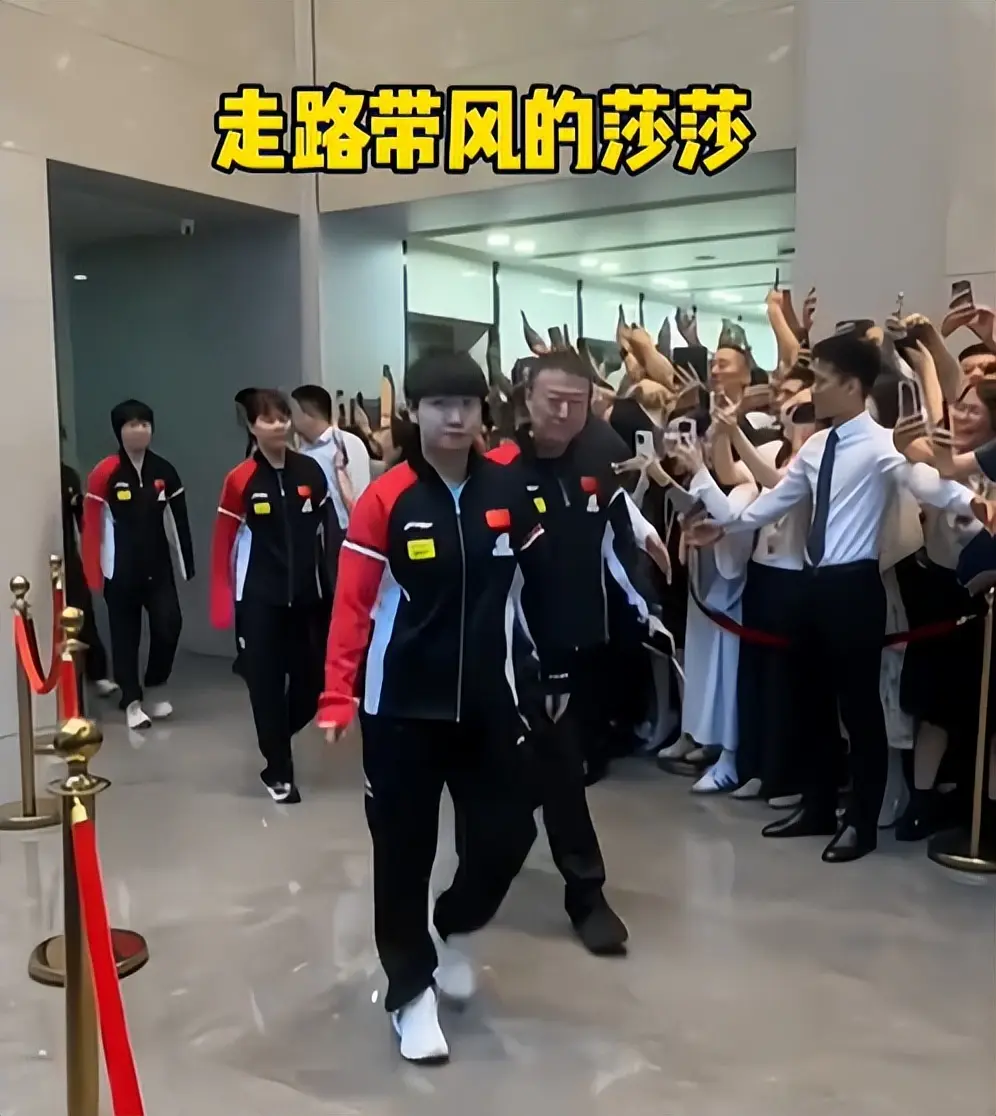 国乒大合照，暴露真实地位，王楚钦、王曼昱靠边站，C位实至名归
