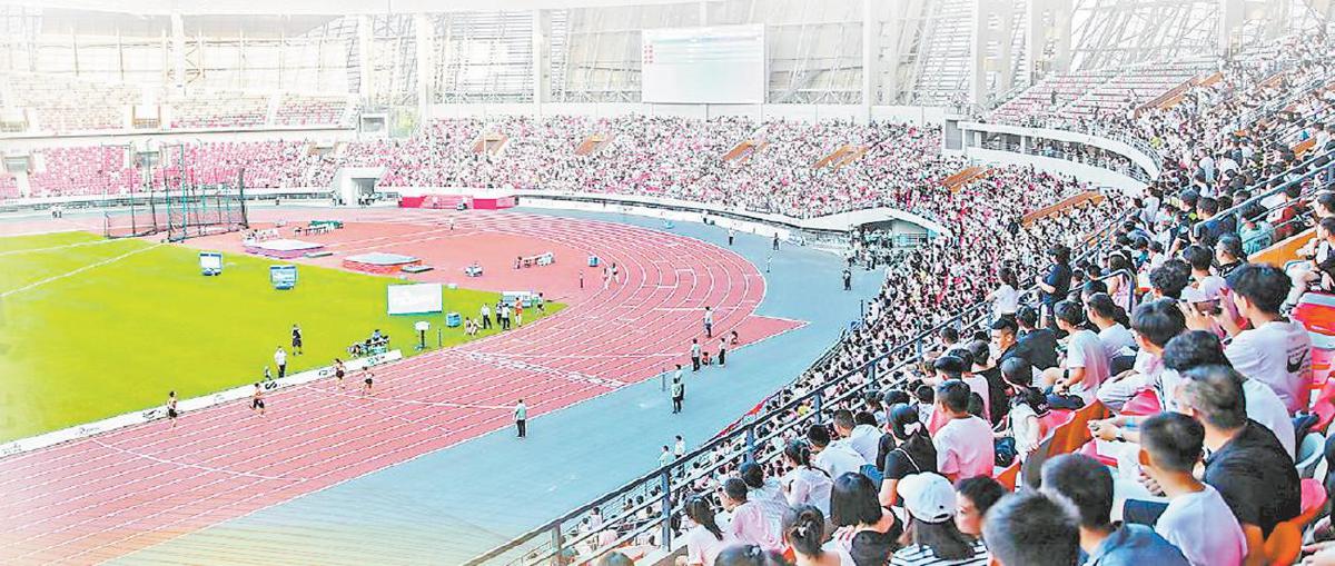 幕后保障团队获组委会表彰