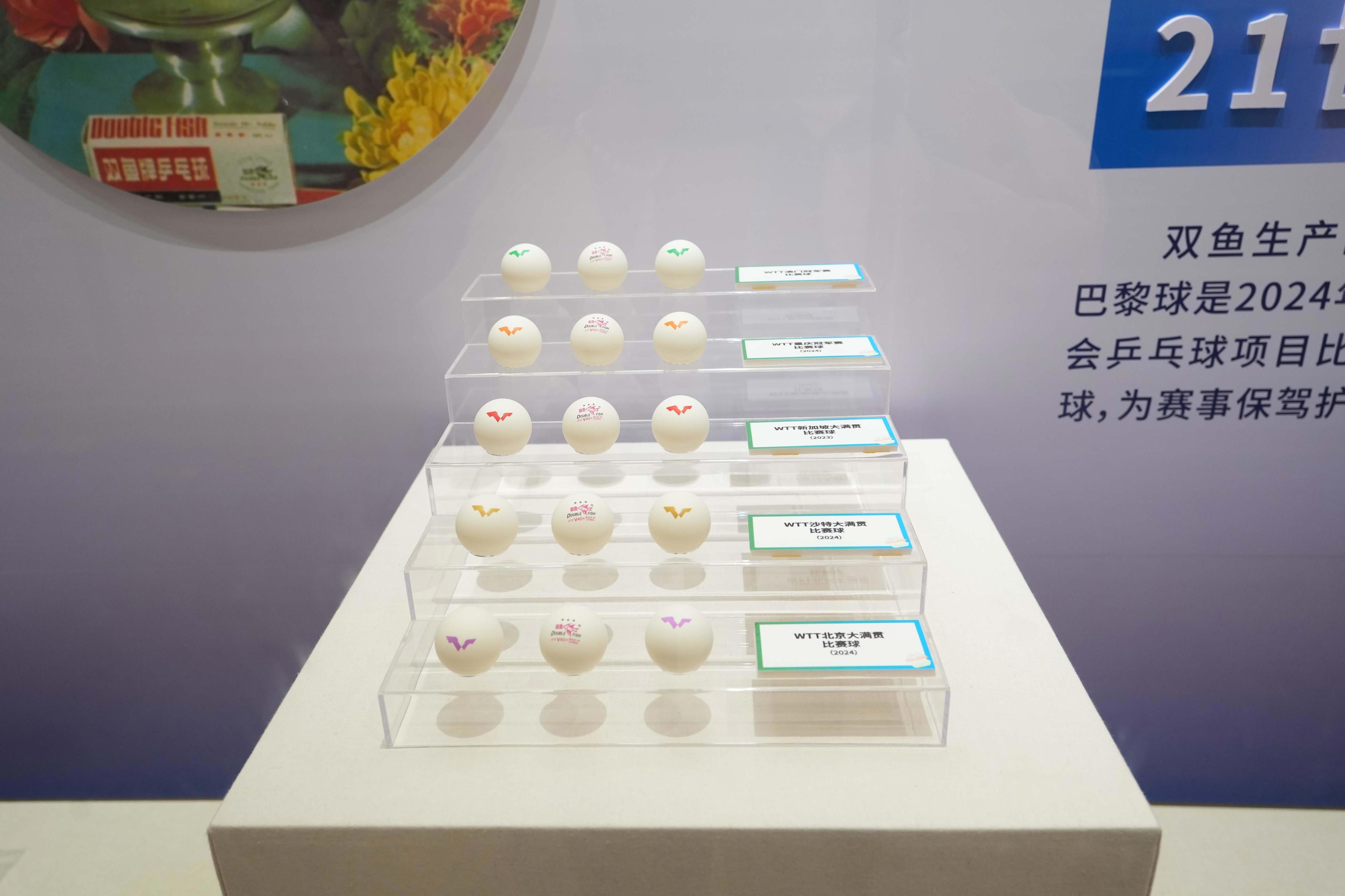 来广图与奥运冠军“击掌”！十五运会专题展览启幕