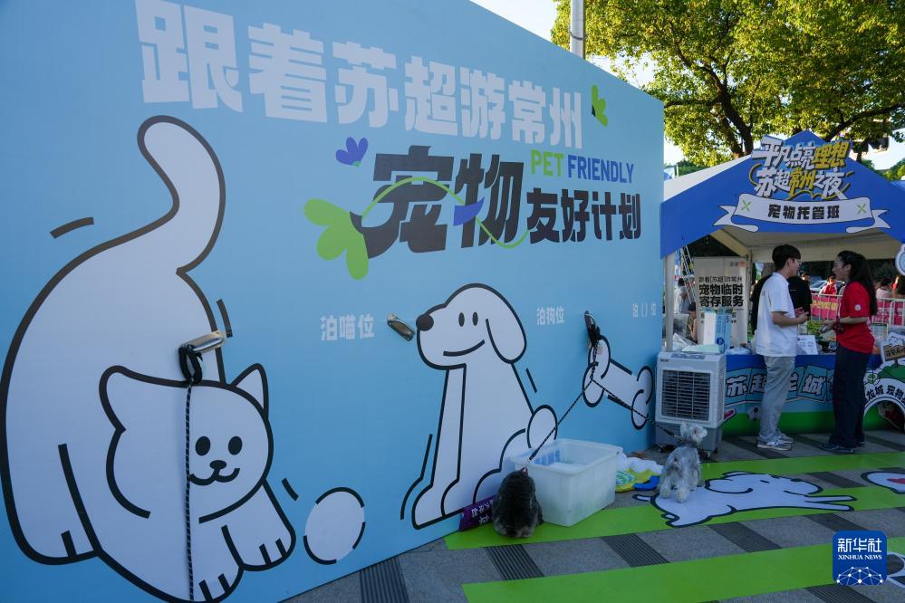 足球——江苏省城市足球联赛：常州队不敌徐州队