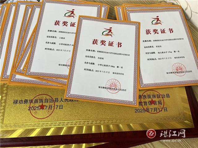宣威市代表队在禄劝2025年火把节全民健身运动会暨青少年武术散打比赛中获佳绩
