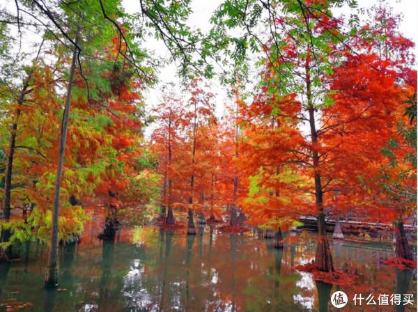 周末短途旅行推荐