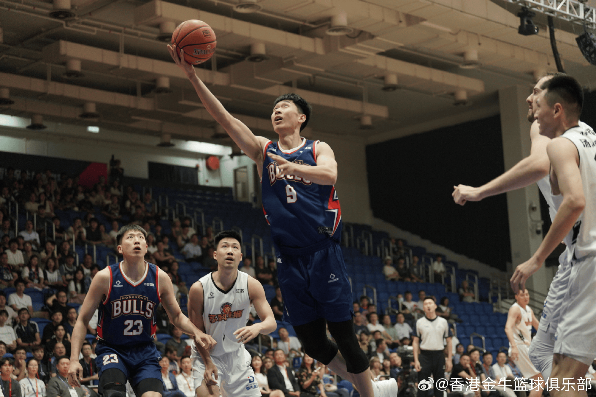NBL香港金牛队发布战报：香港金牛战胜盐南苏科雄狮
