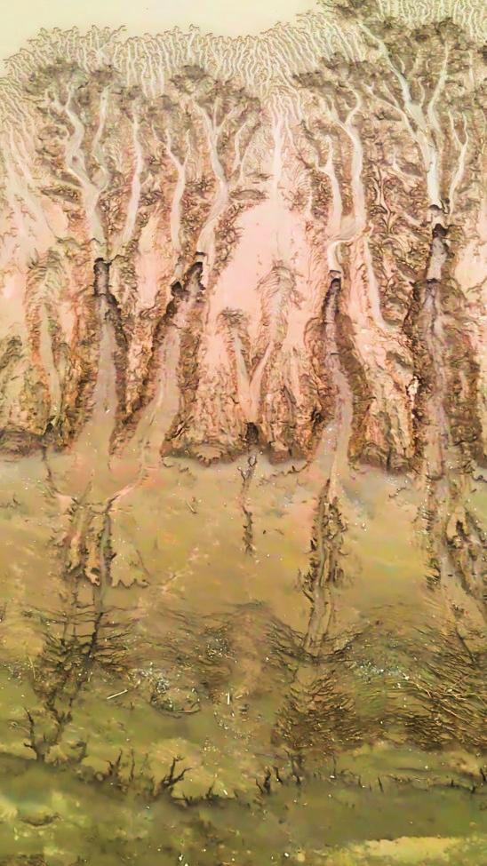 大河作画，三门峡黄河河床现“生命树”奇景