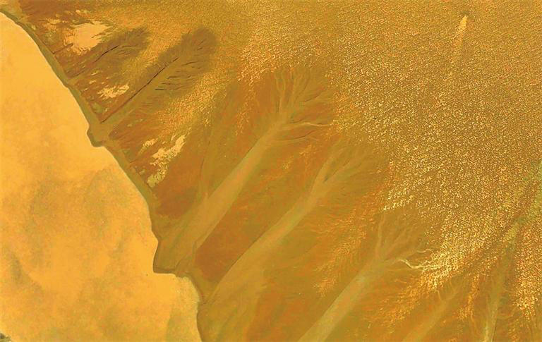 大河作画，三门峡黄河河床现“生命树”奇景