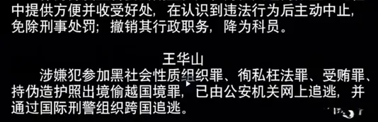 以法之名：同样拿了护照，为何孙飞跑不掉而王华山能成功出逃？
