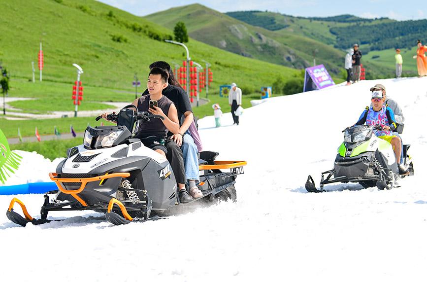内蒙古呼伦贝尔：盛夏戏雪