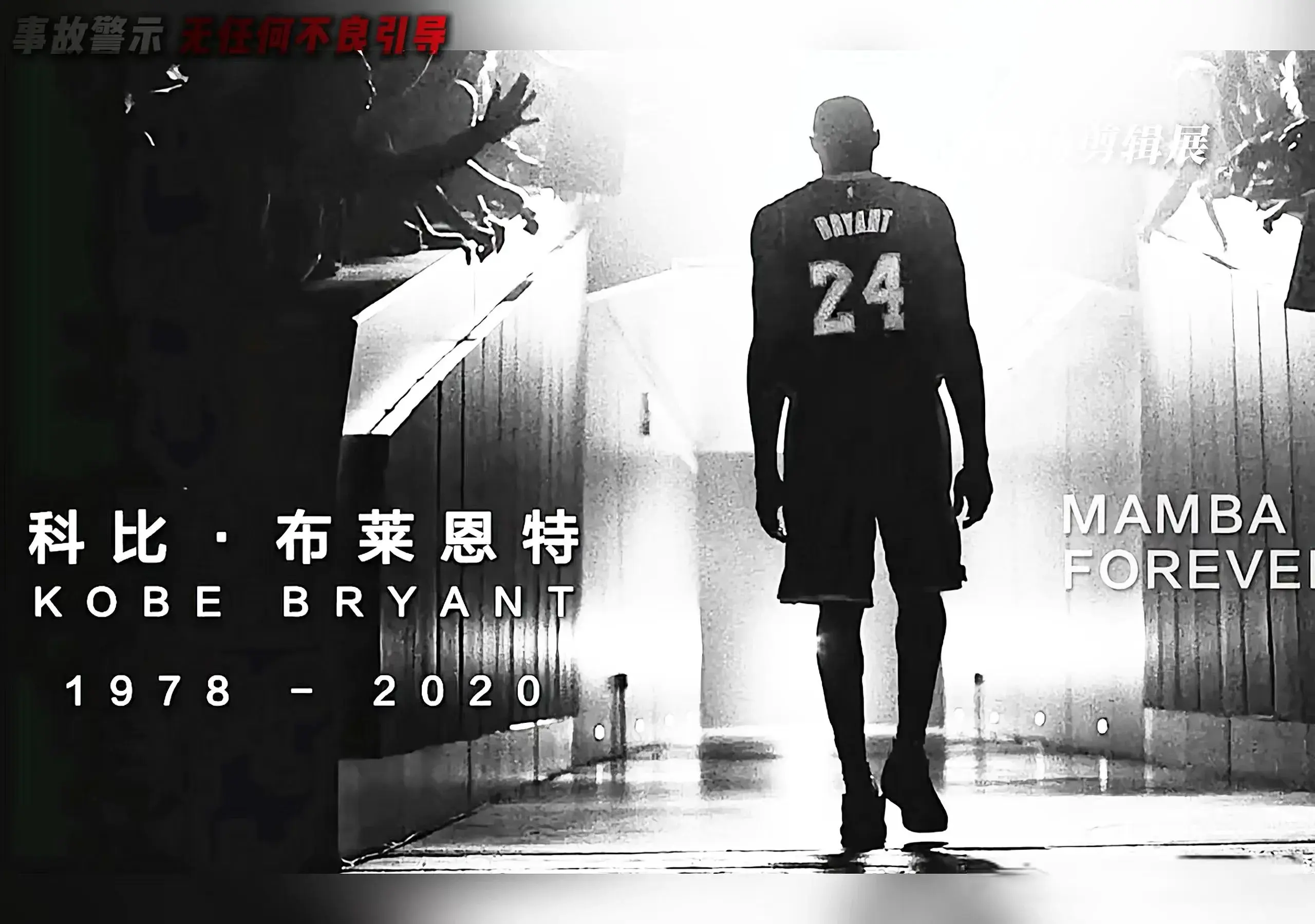 丑小鸭到白天鹅！盘点NBA从板凳逆袭到超巨的五位球员