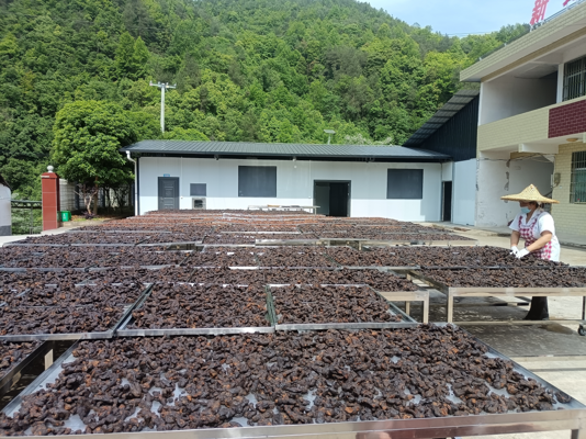 签约34.52亿！怀化新晃举办“大新协作·长三角客商新晃行”招商推介会