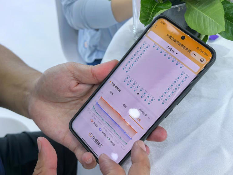 机器人、AI与“黑灯工厂”——从粮交会看中国粮食产业智能跃迁
