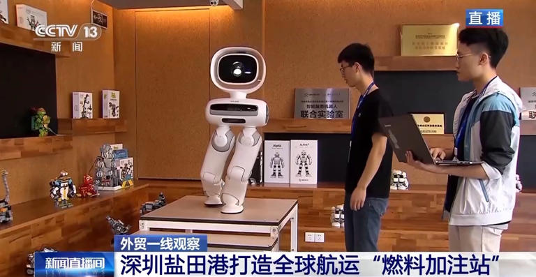 平均每天10班船驶向欧美 从深圳盐田港看中国外贸“加速度”
