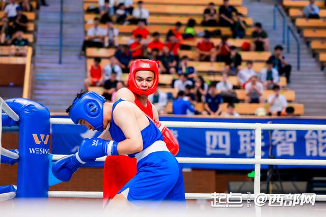 青春飞扬“拳”动长安2025年中国大学生拳击锦标赛在西安开赛