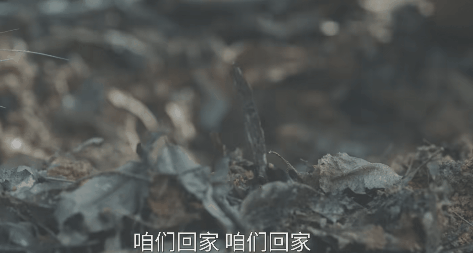 才播4集，热度破16000，看完后我想说：励志剧就得这么拍！