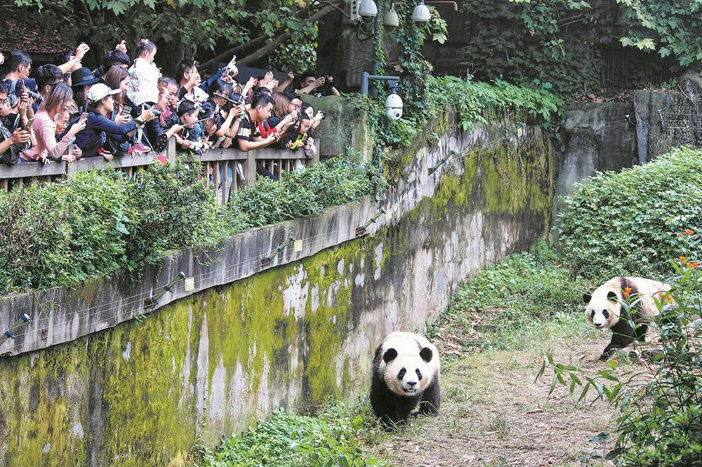 跟着世运游成都