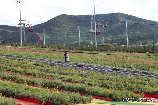 崇礼冬奥场馆向“市民生活场景”转型