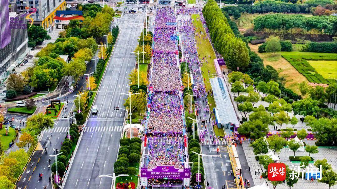 南马九年，热盼再续！南京银行·2025南京马拉松暨大运河马拉松系列赛（南京站）报名开启