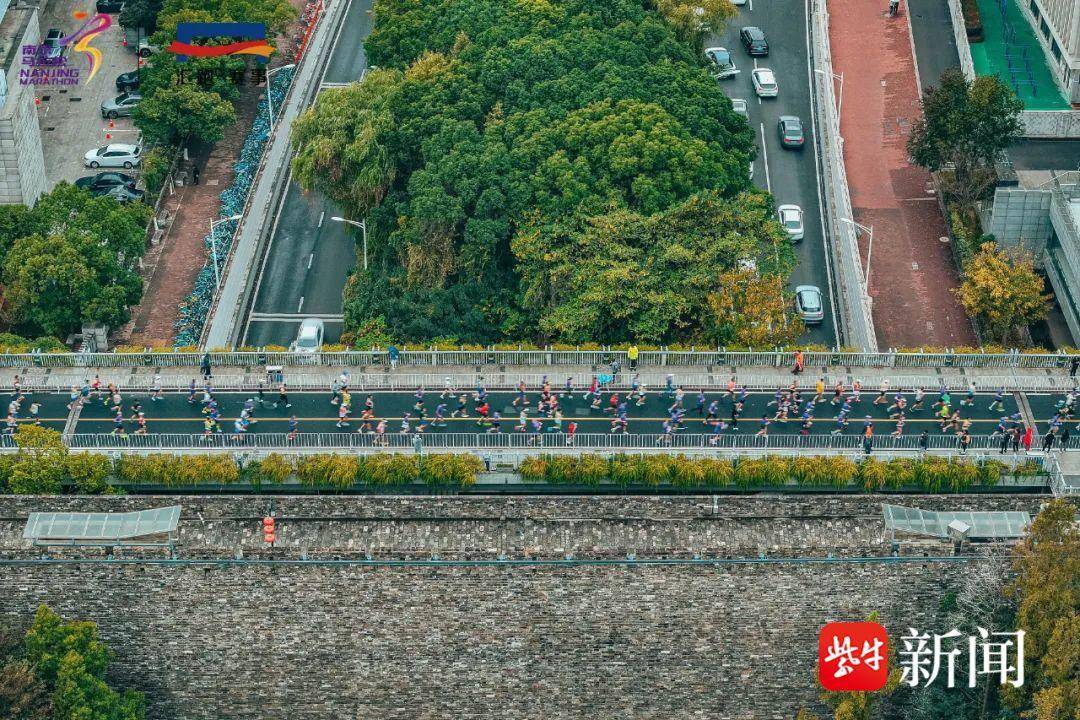 南马九年，热盼再续！南京银行·2025南京马拉松暨大运河马拉松系列赛（南京站）报名开启