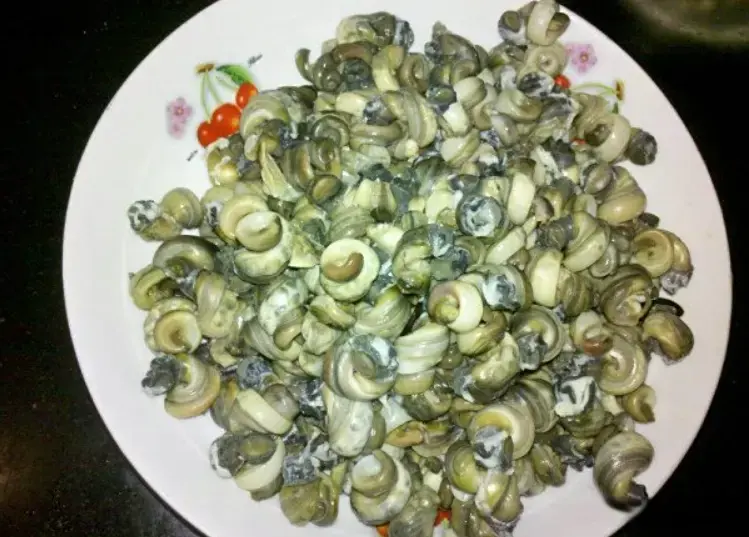 夏季，遇见它别手软，营养极高，挑出来放冰箱冻起来，鲜美又解馋