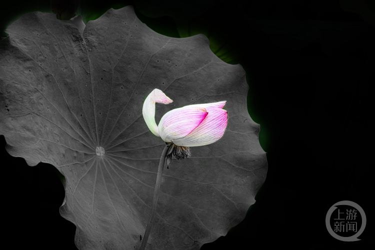 Ӱ414 | ӰƷչ½Ʒ