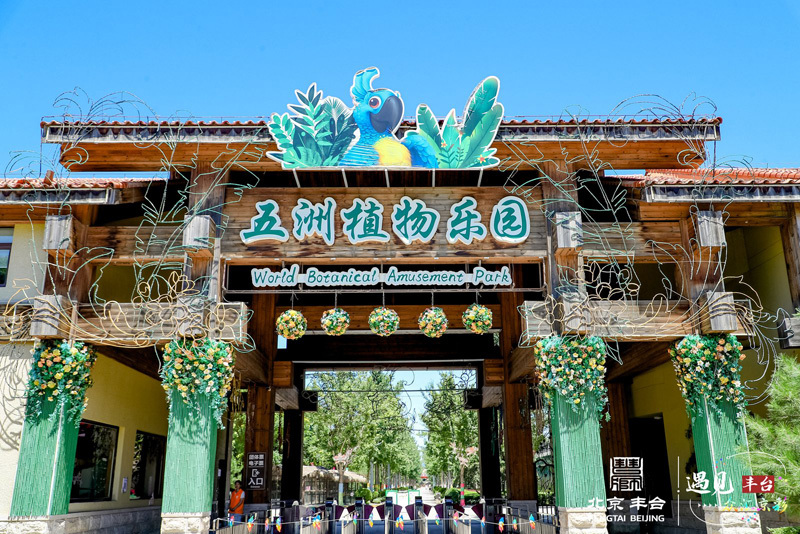 篮球转动文旅 丰台王佐释放全域旅游消费活力