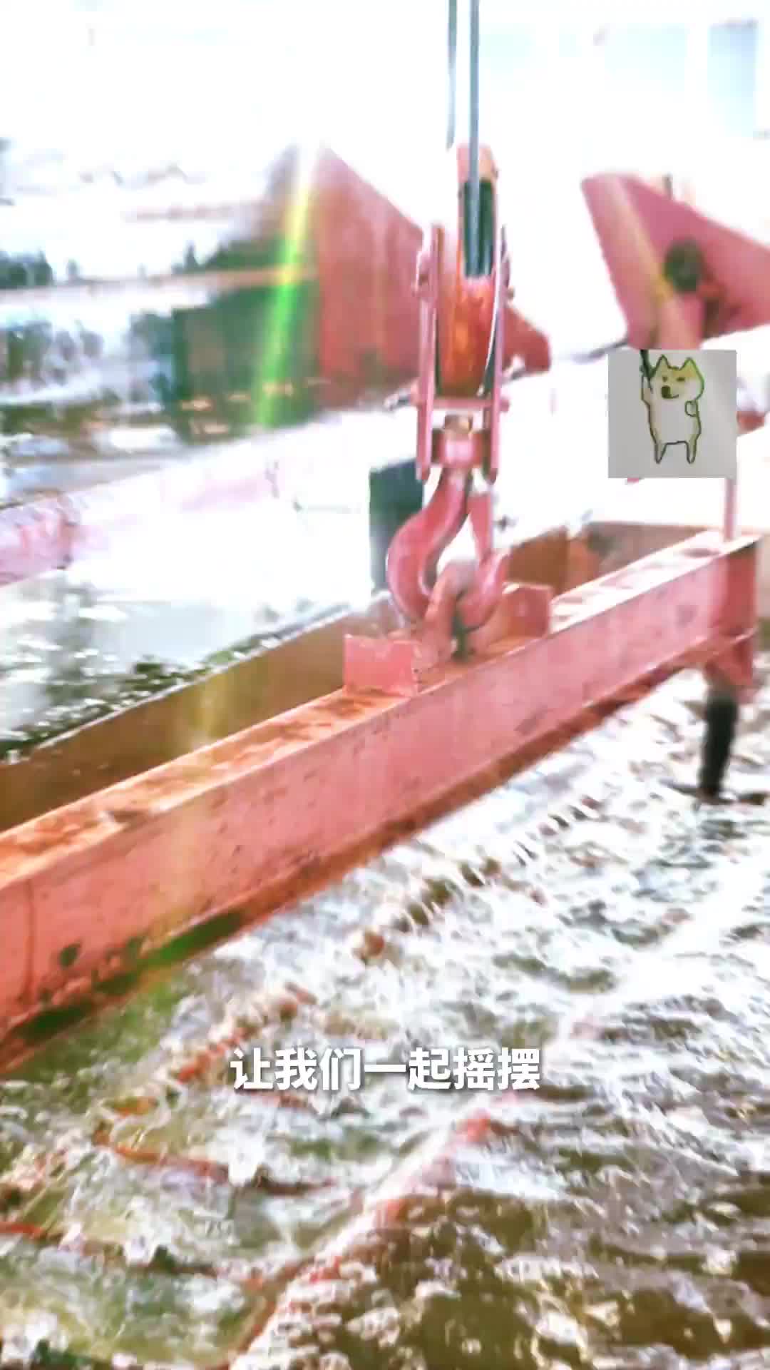 “冰火”24小时