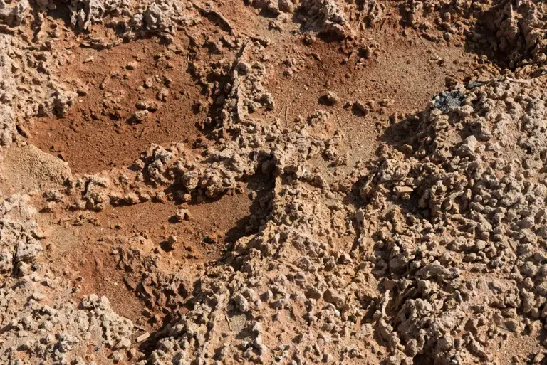 为什么人类不敢把火星土壤带回地球？火星土壤里有什么？