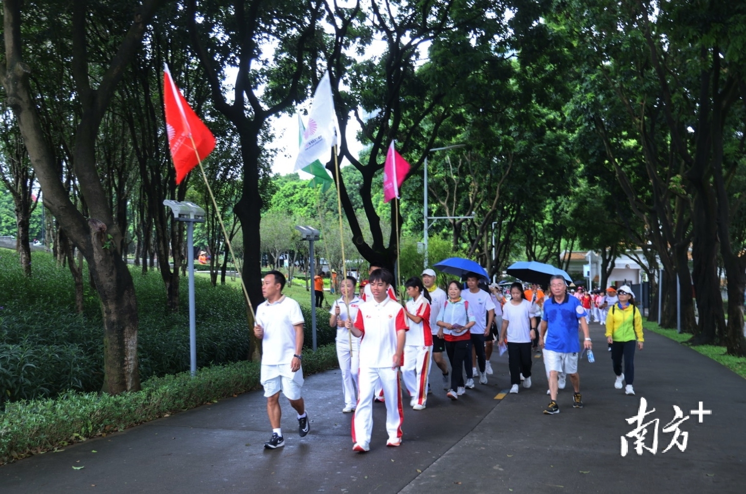 “迎全运・一起走”全民公益健步活动在紫马岭公园举行。 南方+ 叶志文 拍摄